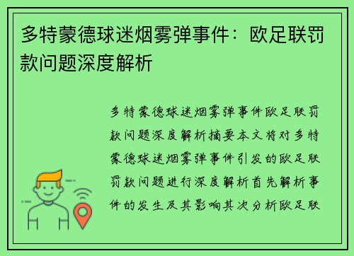 多特蒙德球迷烟雾弹事件：欧足联罚款问题深度解析