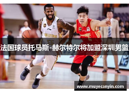 法国球员托马斯-赫尔特尔将加盟深圳男篮